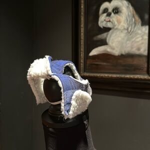 Winter cap for a small dog